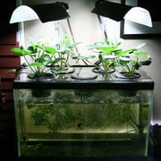 REGALWOVEN 20 Pcs Air Stone Bubble Release Oxygen Diffuser Bar for Aquarium Fish Tank
