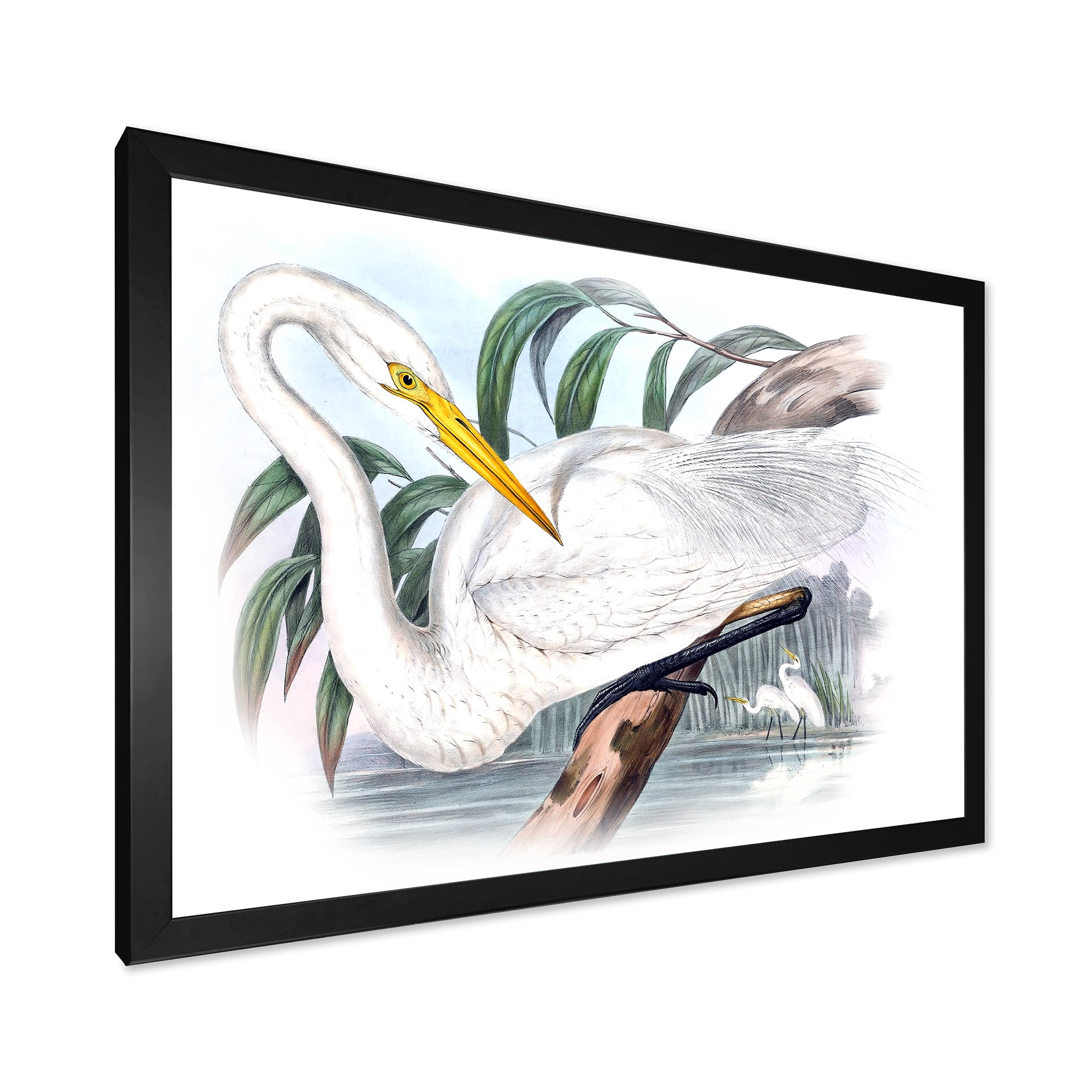 Designart 'Ancient Australian Birds IV' Traditional Framed Art Print