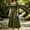 Army Green, variant on Women's Renaissance Smocked Waist Midi DressBoho Split Bell Sleeve Flowy Dress Halloween Cosplay Costume