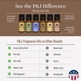 thumbnail image 2 of P&J Fragrance Oil | Road Trip Set of 6 - Scented Oil for Soap Making, Diffusers, Candle Making, Lotions, Haircare, Slime, and Home Fragrance, 2 of 4