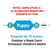 thumbnail image 3 of Alimento Croqueta Royal Canin Schnauzer Mini Cachorro 1.1Kg, 3 of 4