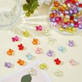 thumbnail image 4 of 100Pcs Transparent Acrylic Beads Bead in Bead Dyed Rabbit Mixed Color 15.5x12x9.5mm Hole: 2mm 100pcs, 4 of 6