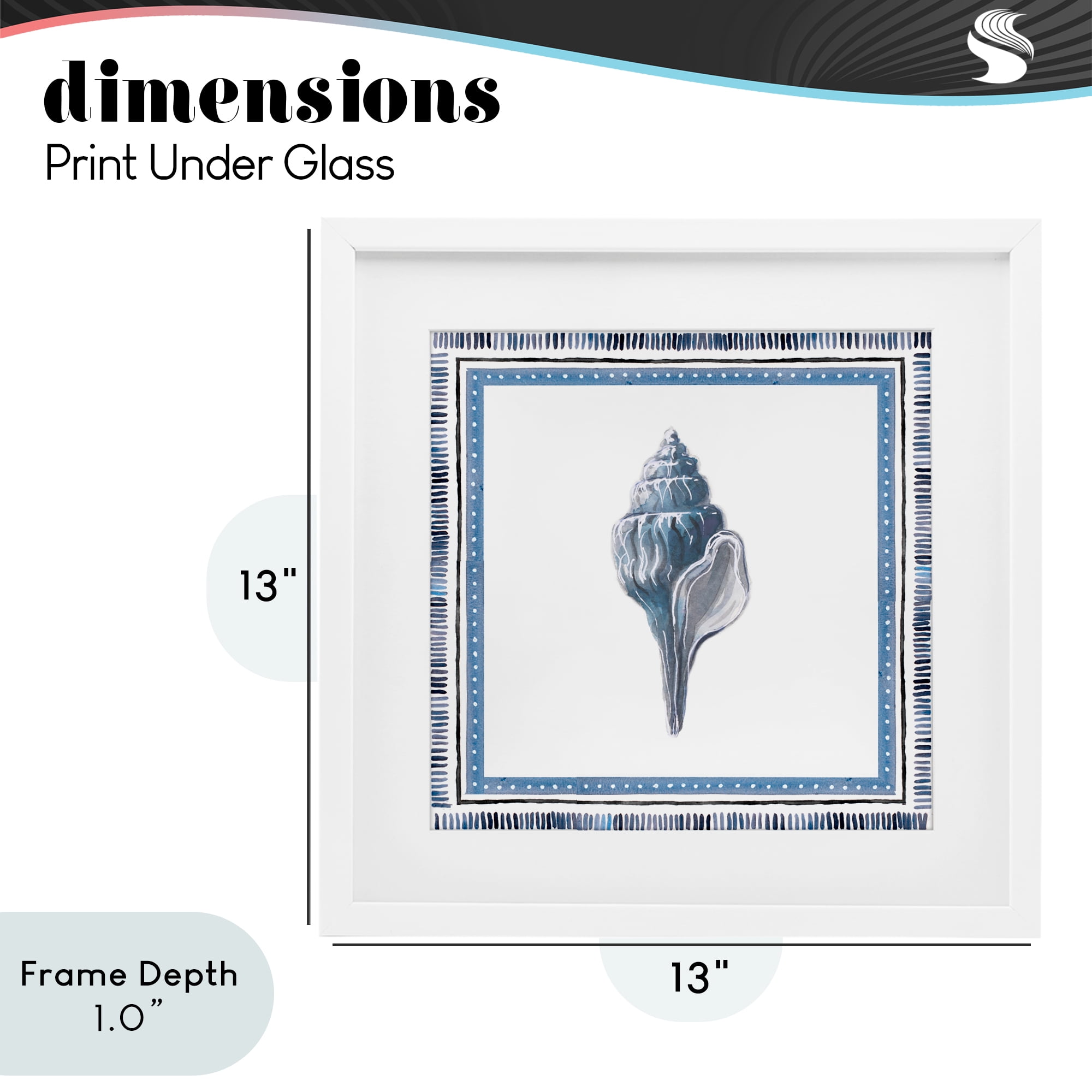Stupell Industries Soft Blue Conch Shell White Framed Print Under Glass, design by Lanie Loreth