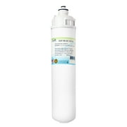 Swift Green Filters SGF-96-48 VOC-B Replacement Water Filter for Everpure EV9693-61,1 Pack