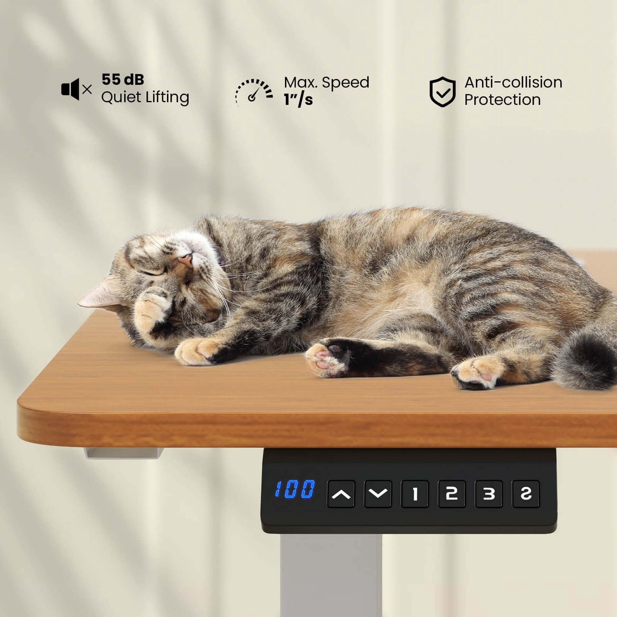 Costway 55" x 24" Electric Standing Desk with 3 Memory Height Settings 2 Hanging Hooks Natural