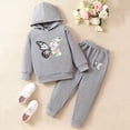 thumbnail image 2 of Girls 2Pcs Outfit Set Children Long Sleeved Hoodie Pants Cute Casual Set for 6-24 Months 2T 3T 4T 5T 6T Children Grey,5-6 Years, 2 of 9