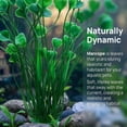 thumbnail image 4 of Deago 2 Pcs 15.7 Inch Large Aquarium Plants Artificial Plastic Fish Tank Plants Decoration Ornament for Fish, Green, 4 of 8