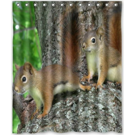 Hellodecor Squirrel Shower Curtain Polyester Fabric Bathroom
