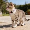 thumbnail image 7 of Mumup Rhinestone Cat Collar Breakaway, Soft Velvet Cat Collars with Bell, Adjustable Comfortable Cats Collar, 7.5-12.5 Inch for Cat, Kittens and Puppies, 7 of 7