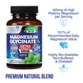 Magnesium Glycinate 425 mg with Calcium Max Absorption Magnesium