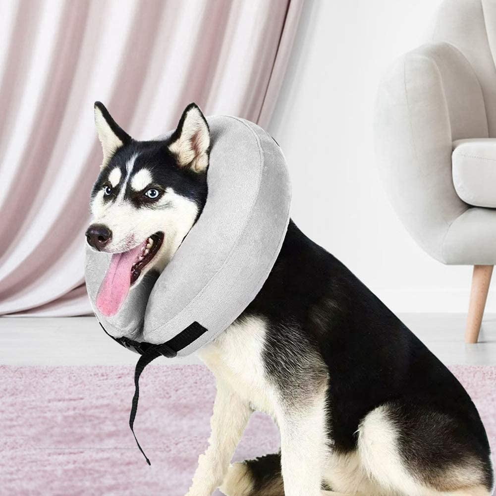 Dog neck shield best sale