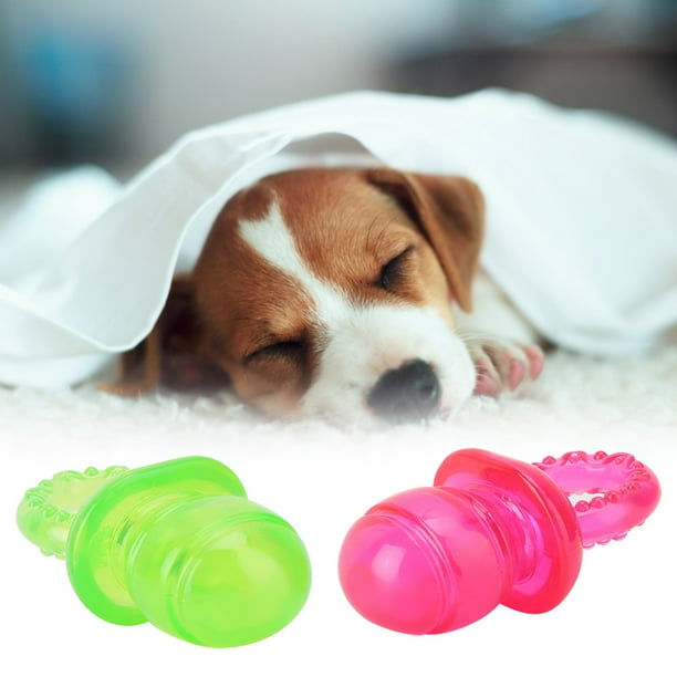 Dog 2025 pacifier walmart