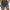 Gray, variant on ibuvkizy Summer Clearance 2024!Mens Shorts Casual Gradient Printing with Pockets,Drawstring Elastic Waist Shorts Pants Beach Shorts Blue,M