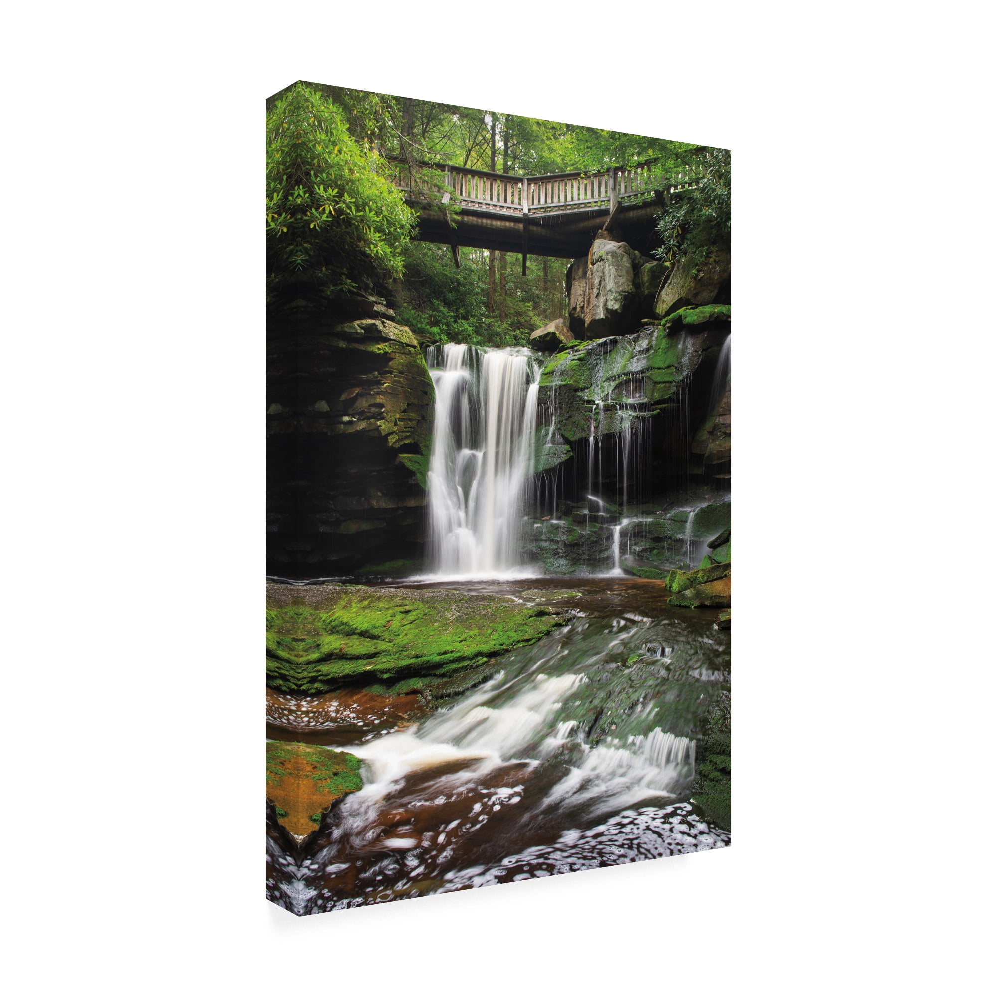 Trademark Fine Art 'Elakala Falls West I' Canvas Art by Alan Majchrowicz
