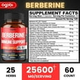 Premium Berberine Supplement with Ceylon, Ashwagandha, Turmeric, Milk