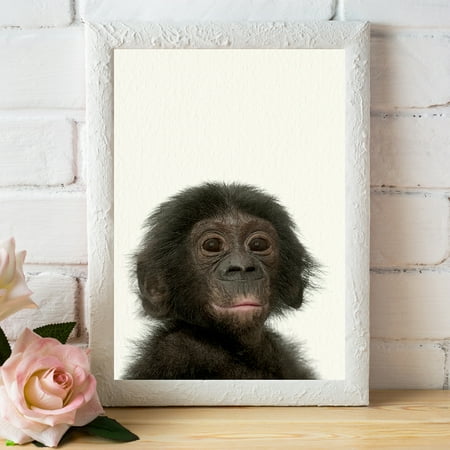 Baby Zoo Monkey Nursery Wall Decor Farm Baby Animal Art Print