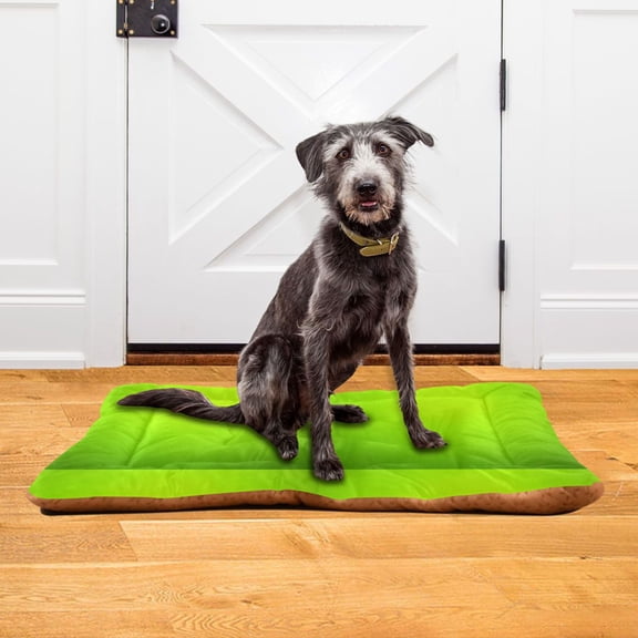 Iauyy 18x24inch Washable Dog Bed Mats, 4cm Thick Comfort Pet Bed with Non-Slip Bottom for Crates, Indoors & Outdoors - Puppy Essentials,Lime Green Background