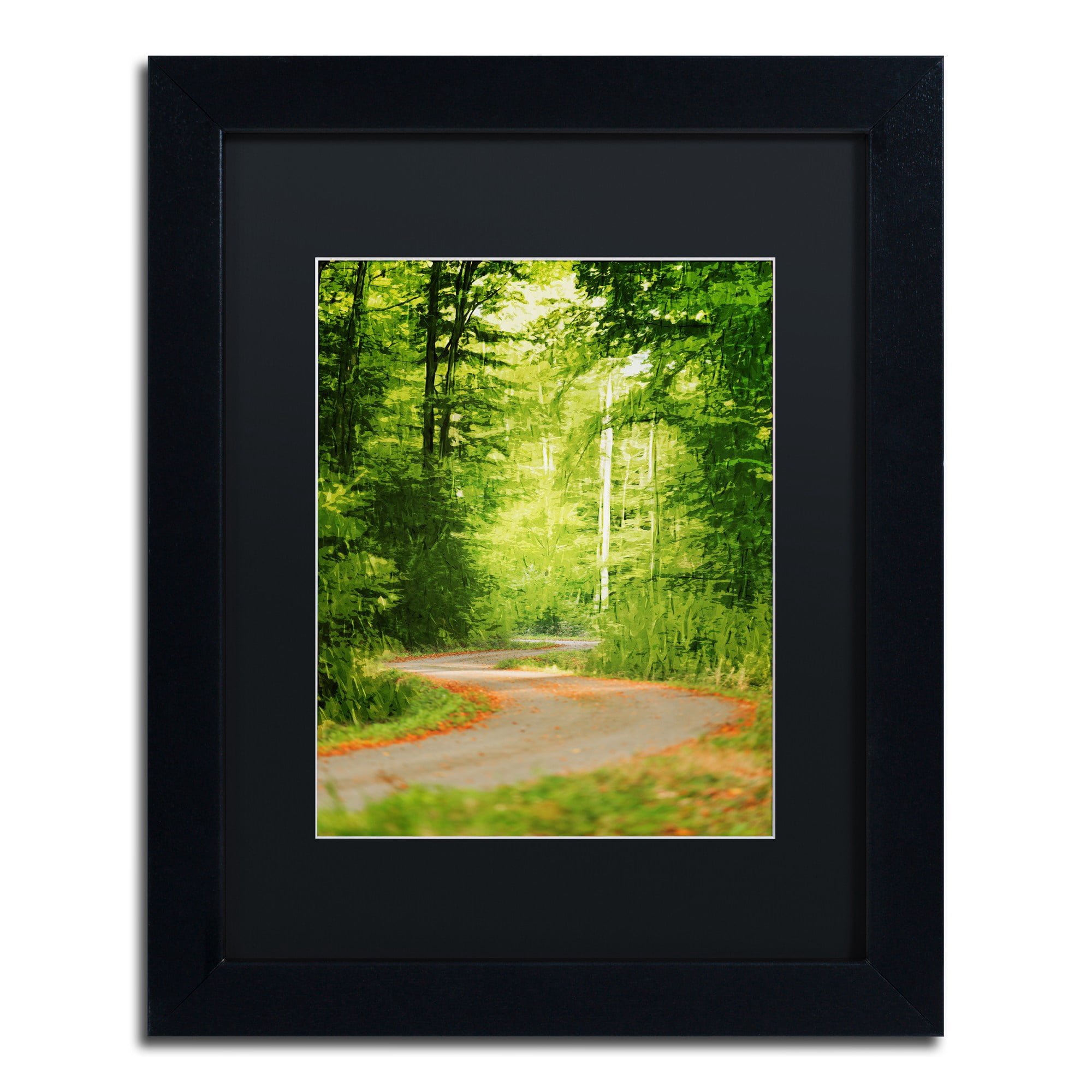 Trademark Fine Art "S Road" Canvas Art by Philippe Sainte-Laudy Black Matte, Black Frame