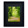 thumbnail image 2 of Trademark Fine Art "S Road" Canvas Art by Philippe Sainte-Laudy Black Matte, Black Frame, 2 of 5