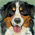 thumbnail image 2 of Great Art Now Bernese by Traci Anderson, Canvas Wall Art, 12W x 12H, 2 of 2