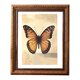 thumbnail image 1 of Vintage Picture Frame, Decorative Wall Hanging and Tabletop Display Photo Frame White 5in, 1 of 5