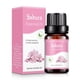 thumbnail image 1 of Aromaterapia de aceite soluble en agua de aromaterapia adecuada para humidificador 10 ml, 1 of 5
