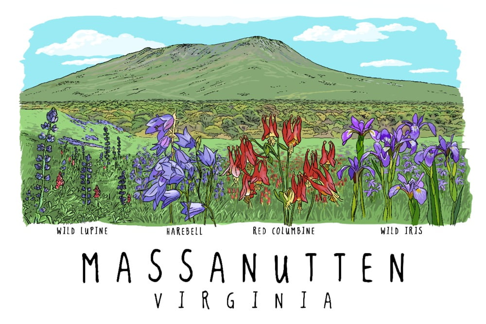 Massanutten, Virginia, Line Drawing (16x24 Giclee Gallery Art Print
