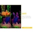 thumbnail image 3 of BESTYASH 7Ud De Reutilizables Sin Para En De Peces, 3 of 8
