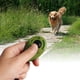 thumbnail image 2 of 1 pieza Nuevo clicker para entrenamiento de mascotas Perro Correa para la muñeca, 2 of 4