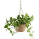 thumbnail image 3 of Maceta Colgante De Cuerda De Yute - Cesta De Macramé De Hierba Marina Plegable - Para Plantas Suculentas, Decoración Interior Al Aire Libre. Afortunado Sencillez, 3 of 5