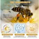 thumbnail image 4 of Bee Venom Wrinkle Removal Cream,Bee Venom Anti-Wrinkle Firming Moisturizing,Lifting & Recovery for All Skin Types 2025, 4 of 5
