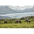 thumbnail image 2 of Head, Danny 24x17 White Modern Wood Framed Museum Art Print Titled - Grazing at the Glacier, 2 of 4