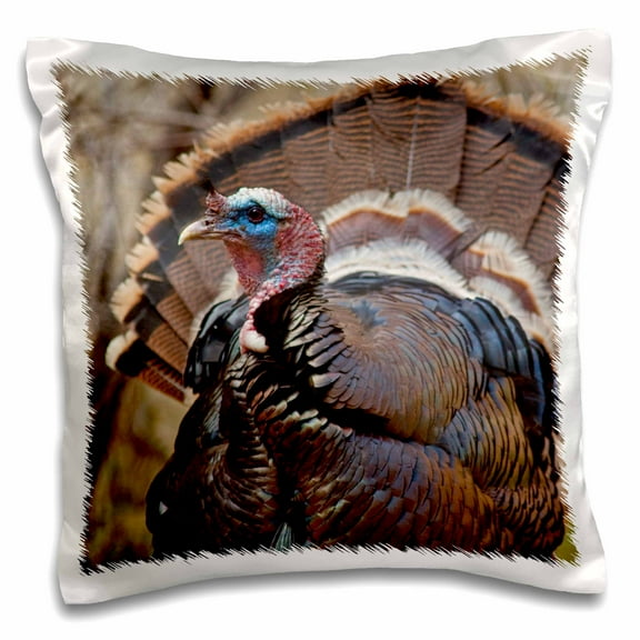 3dRose, Tom turkey wildlife, Zion National Park in Utah - US45 CHA0265 - Chuck Haney, 16x16 inch Pillow Case