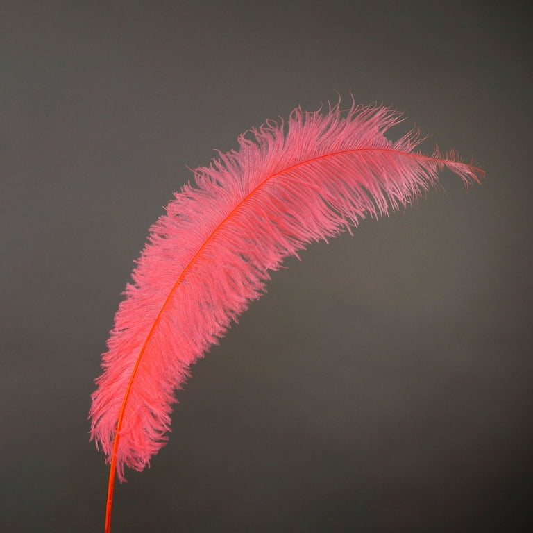 Coral ostrich feathers online