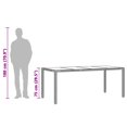 thumbnail image 2 of vidaXL Table de Jardin avec Plateau en Verre Noir 190x90x75 cm Rotin Poly, 2 of 5
