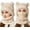 Beige, variant on Bear Mask Cap,3 in 1 Plush Balaclava Ski Mask for Men & Women, Cute Winter Hat with Scarf & Face Mask, Windproof Cold Weather Hooded Neck Warmer