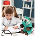 thumbnail image 7 of DolliBu Squat Panda  Doctor Plush Toy - Super Soft Panda Doctor Stuffed Animal Dress Up with Cute Scrub Uniform and Cap Outfit - Fluffy Doctor Toy Plush Gift - 7 Inches, 7 of 7