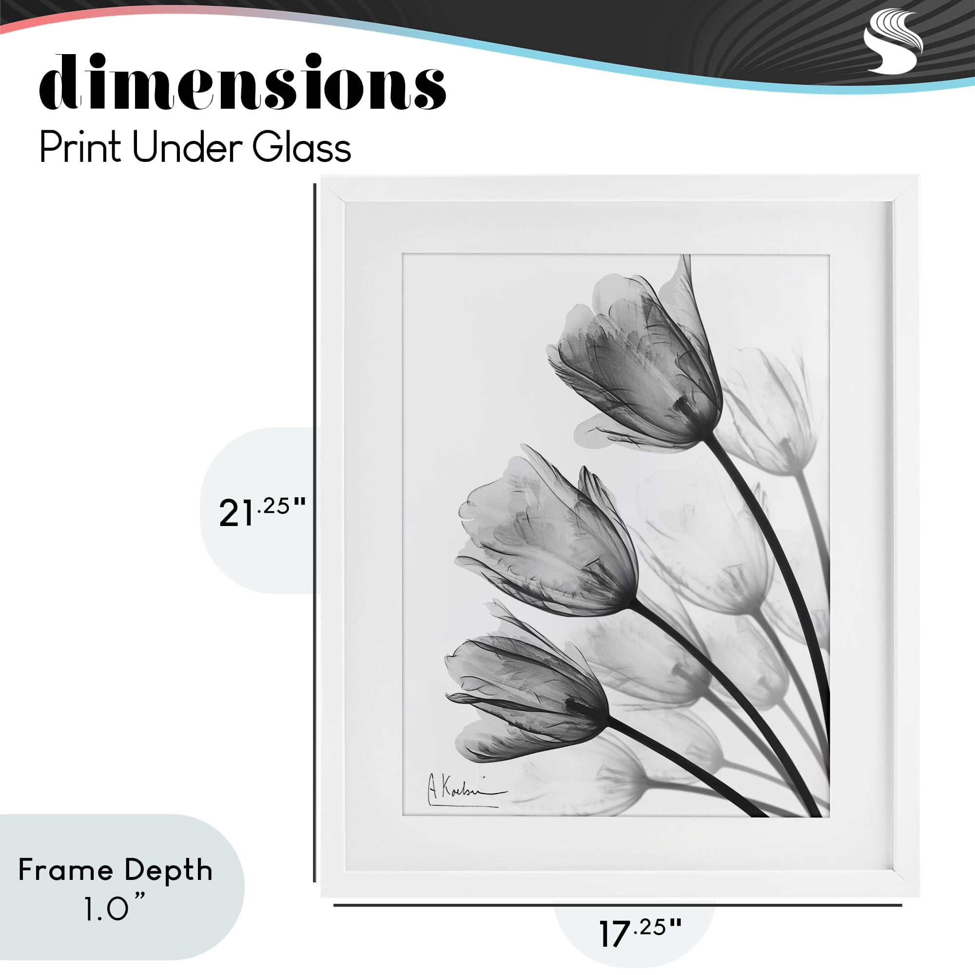 Stupell Industries Minimalist Tulip Fan White Framed Print Under Glass, design by Albert Koetsier