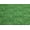 Grassy Green, variant on KidCarpet.com Raceway Rug 4' x 6' Oval, Educational Kids Car Rug for Nursery, Classroom, Playroom, Bedroom, Daycare Floor