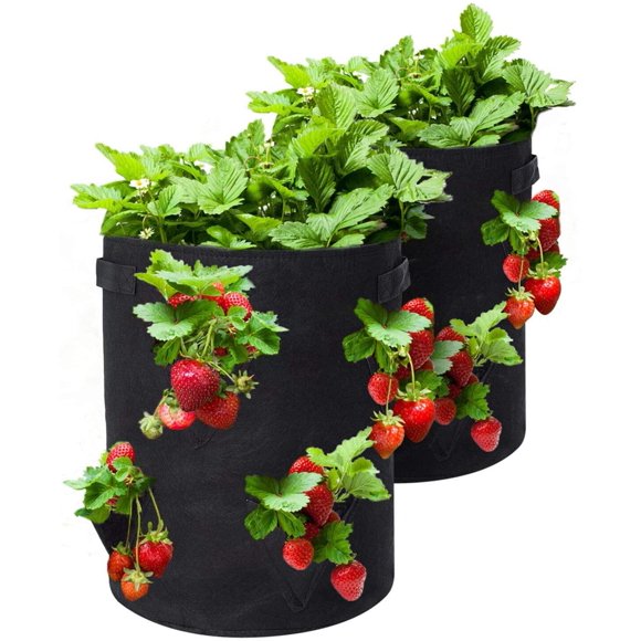 Strawberry Planter, 2 Pack 10 Gallon Strawberry Grow Bags with 8 Side Grow Pockets, Breathable
