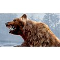 thumbnail image 5 of Cabela's Dangerous Hunts 2011 - Xbox 360, 5 of 5