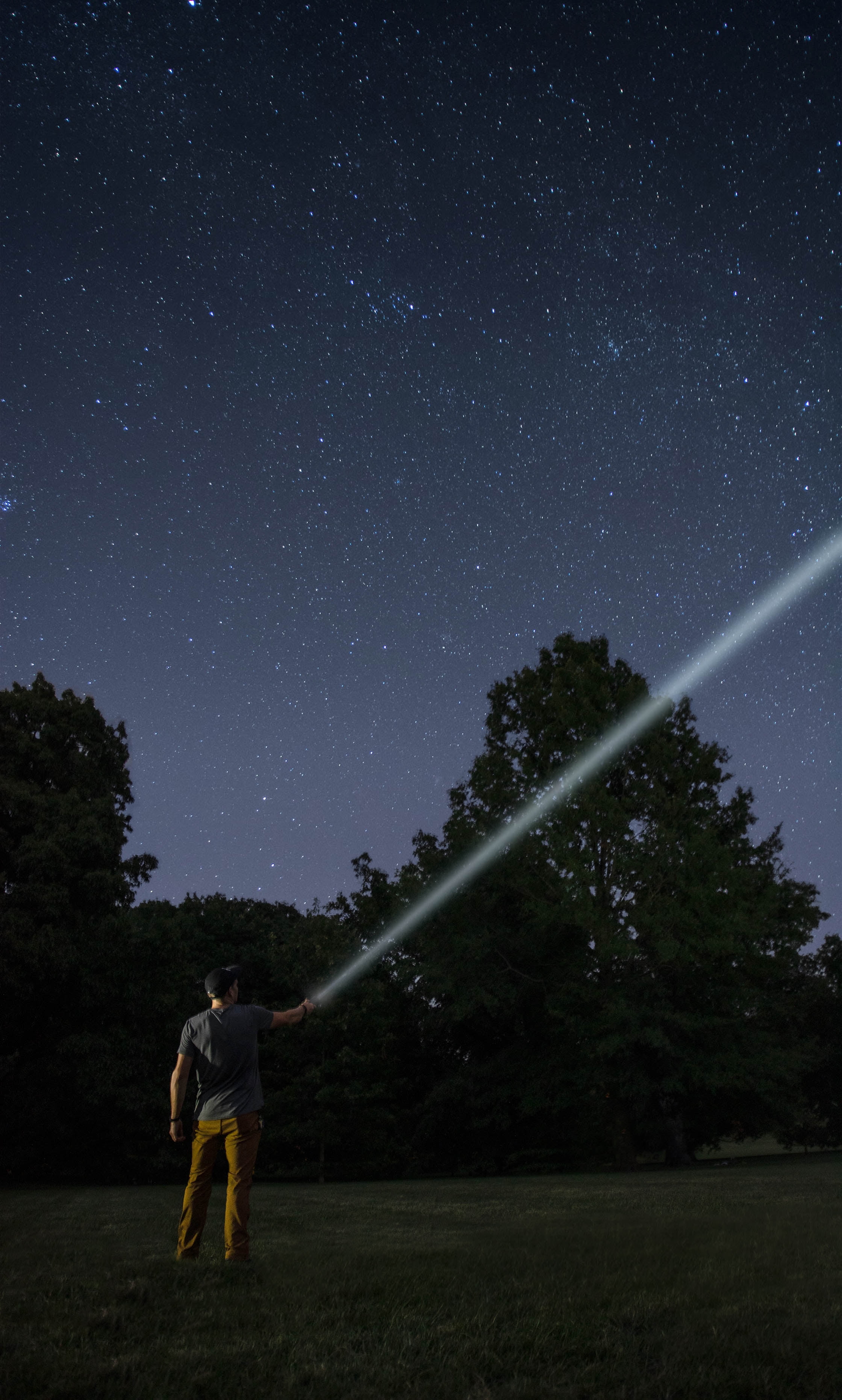 Bushnell Long Range Flashlight with SLD LaserLight Technology