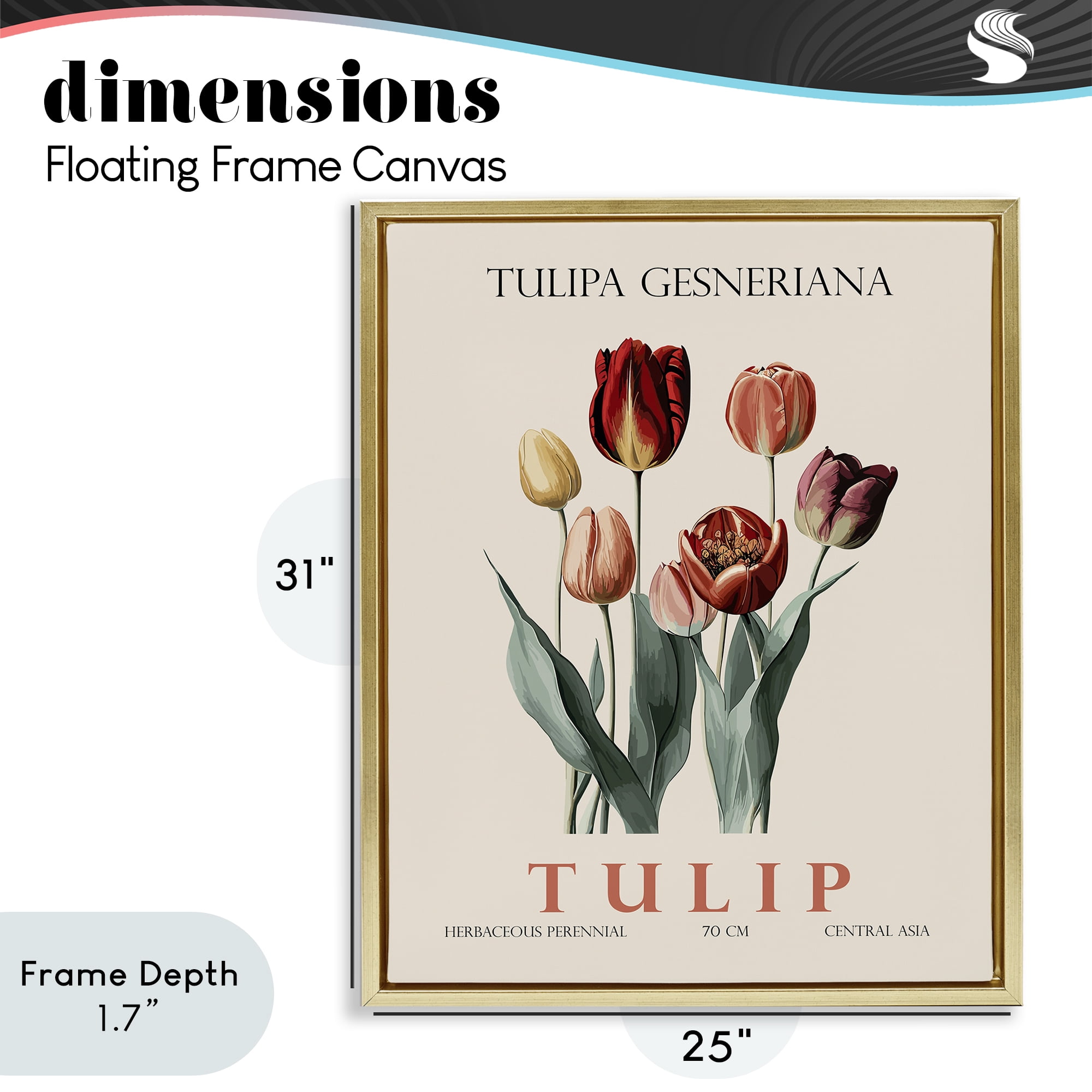 Stupell Industries Natural Tulip Bundle Gold Framed Floater Canvas Wall Art, design by Christopher Giampietro