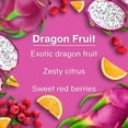 thumbnail image 5 of Little Trees Air Freshener Dragon Fruit Fragrance 3-Pack, 5 of 12