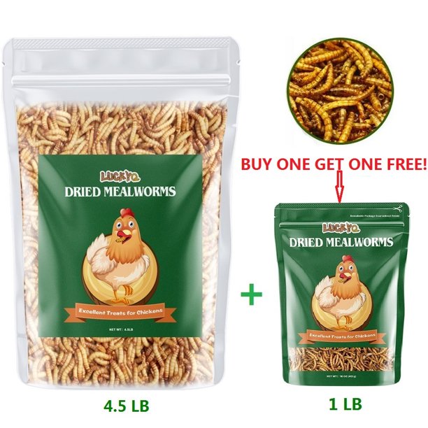 LUCKYQ Dried Mealworms 4.5LB,HighProtein Bulk Mealworms for Birds
