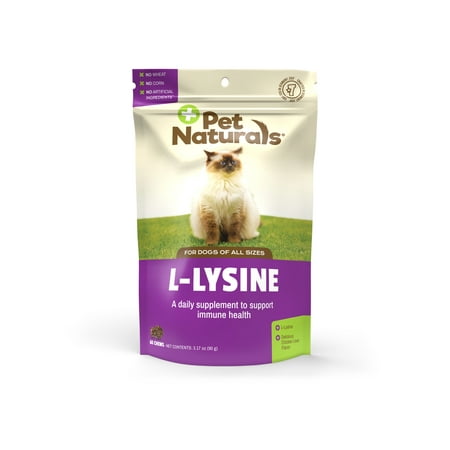 UPC: 0026664983466 | Pet Naturals L-Lysine Chews Immune Support for Cats Chicken Liver Flavor 60 count