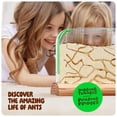 thumbnail image 3 of Ant Farm Kit Dan&Darci con Live Ants & Queen + Guía de aprendizaje, 3 of 8