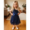 thumbnail image 4 of BemeyourBBs Kids Toddler Girls Fairy Butterfly Tulle Tutu Dress Big Girl Summer Ruffled Dress Cute Sleeveless Ruffle Princess Birthday Party Wedding Guest Dress with Belt, 4 of 9