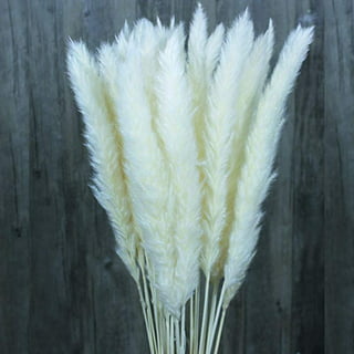  Rokozzi 45 Tall, 3 Stems, Artificial Cream White Pampas Grass  Decor Tall, Fluffy Faux Pampas Grass Large