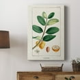 thumbnail image 5 of Turpin Tropical Botanicals V Premium Gallery Wrapped Canvas - Ready to Hang, 5 of 9